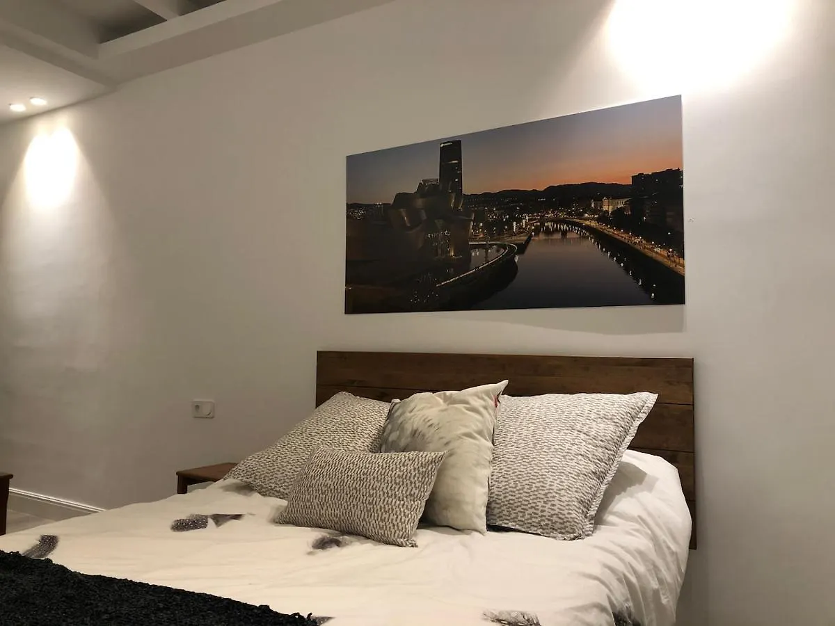 110 M2 Central Apartment In Abando Close To Guggenheim With Parking Bilbao